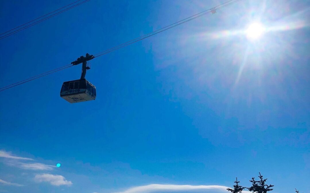 Cardboard and the VC Finals